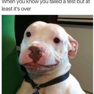 Meet your Posher, Kenyan